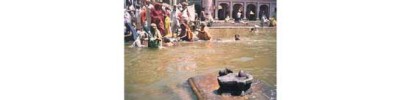 நாசிக்